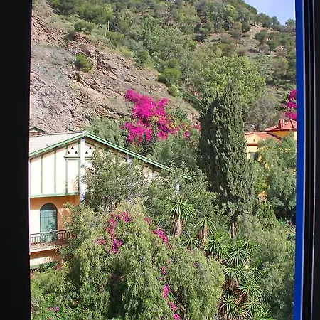 Luz De